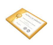 CERTIFICADOS 300X210MM APERGAMINHADO 240G - 4X0 - 2unid