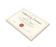 CERTIFICADOS 300X210MM APERGAMINHADO 240G - 4X0 - 10unid